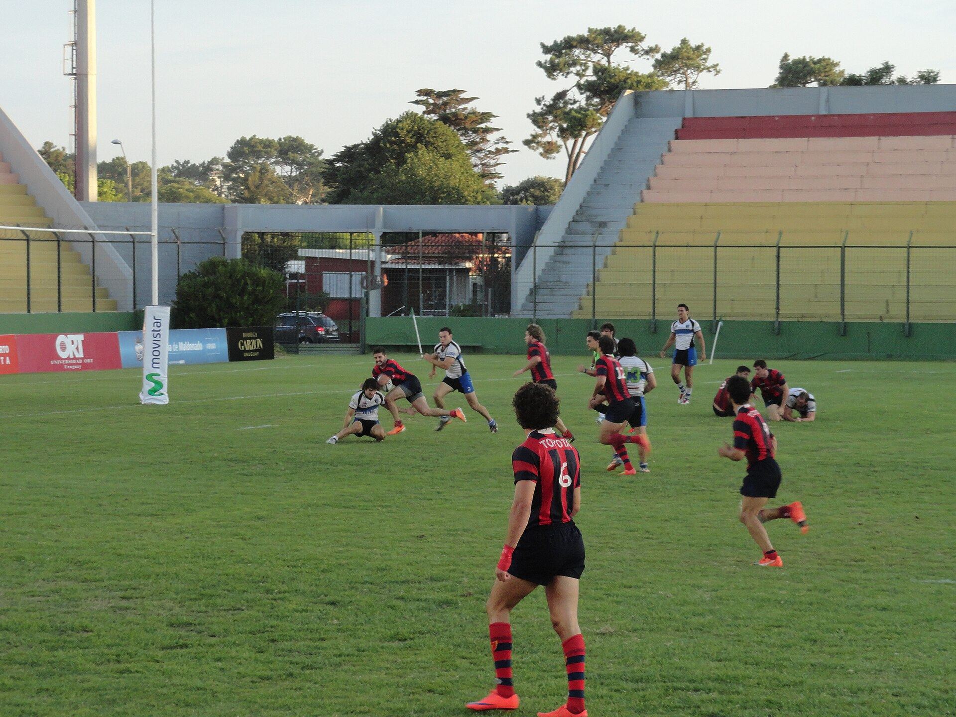 Jugadores de rugby con camisetas a rayas durante un seven en Maldonado